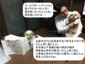 平成28年度宅建試験！統計問題の予想と対策