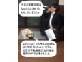 平成28年宅建試験　分析と正答率・次年度の傾向と対策
