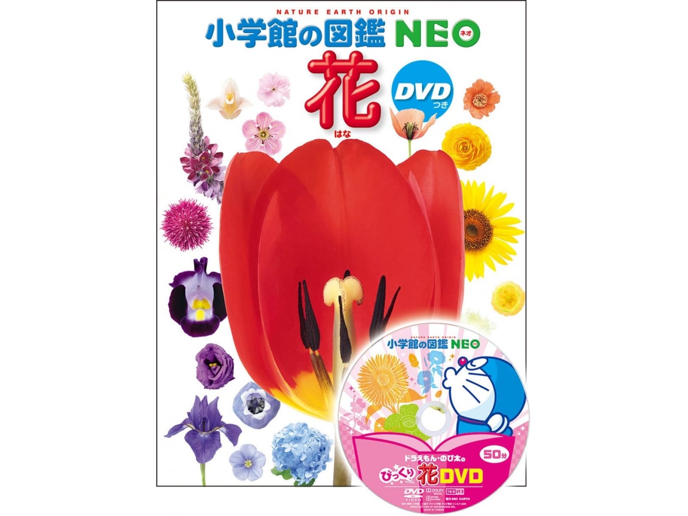 小学館】植物辞典全6冊 彫っ