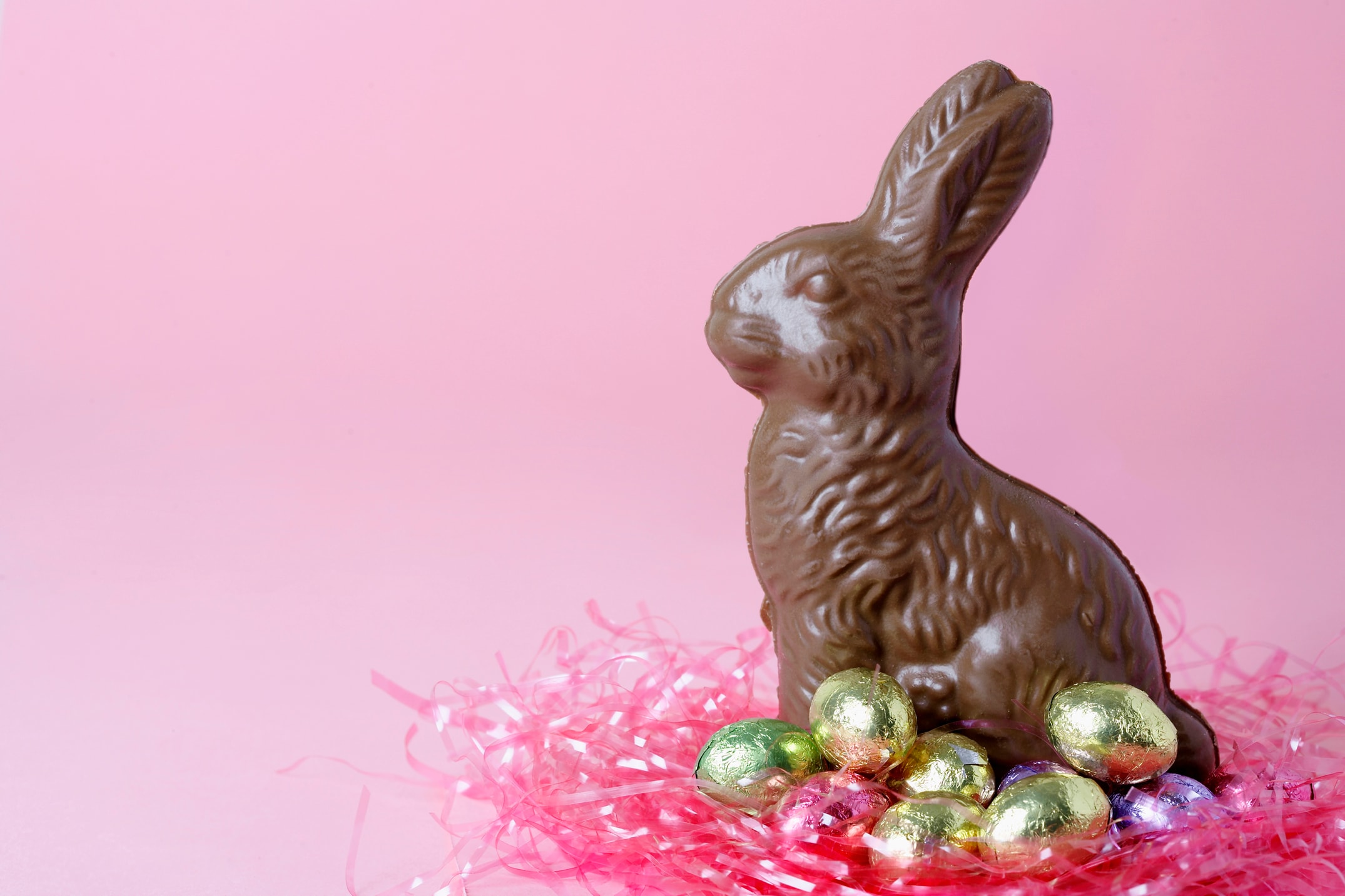 イースターでうさぎや卵はなぜ使われる？ その理由と楽しみ方 [うさぎ