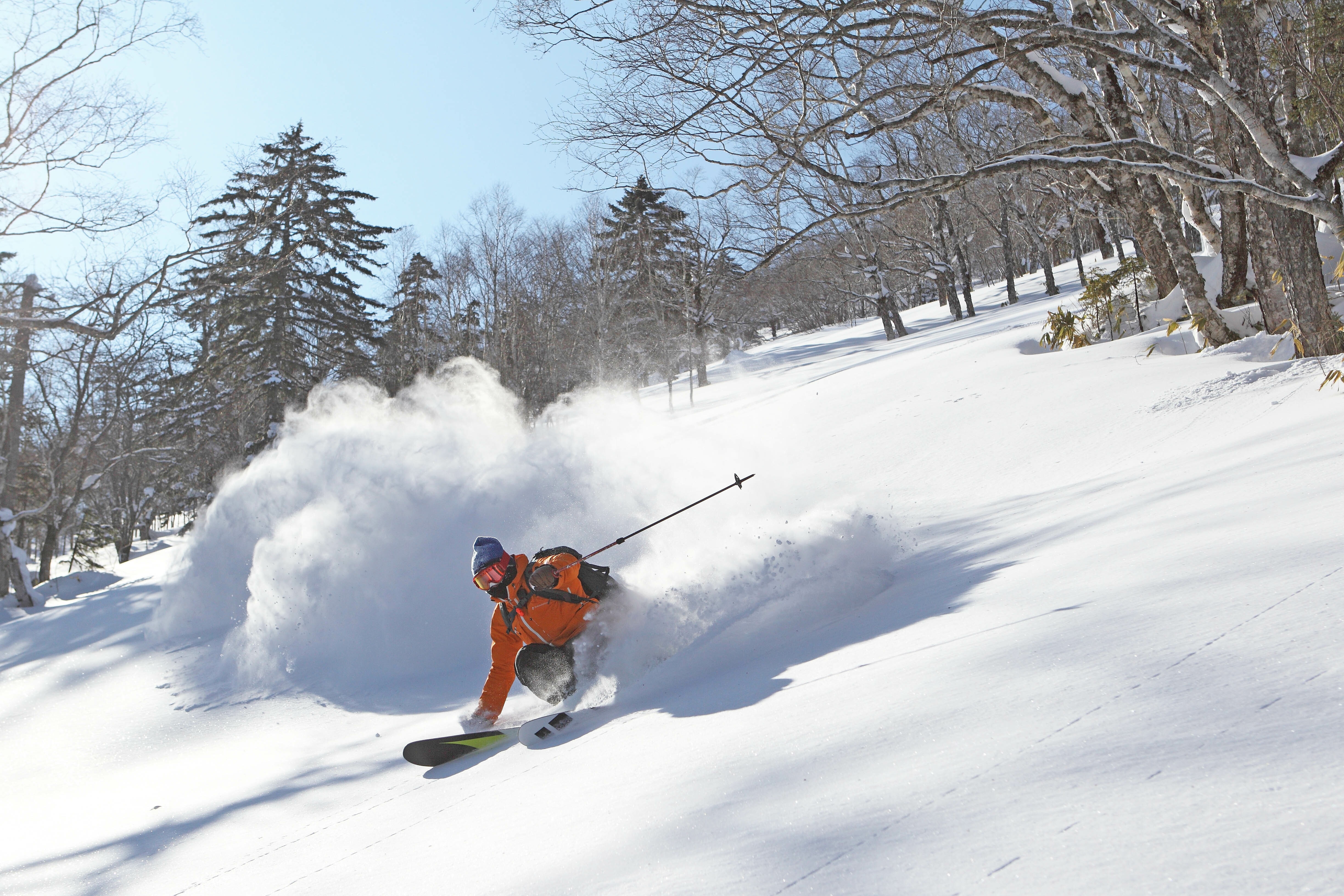 雪板10 パウダー1400 雪板10 パウダー1400
