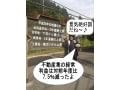 【平成29年度】宅建士試験、統計問題対策と予想問題