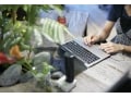 オフィスの観葉植物、お薦めの種類と選び方＆その効果