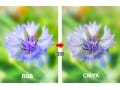 RGB、RGBa、CMYKの色表現を覚えよう