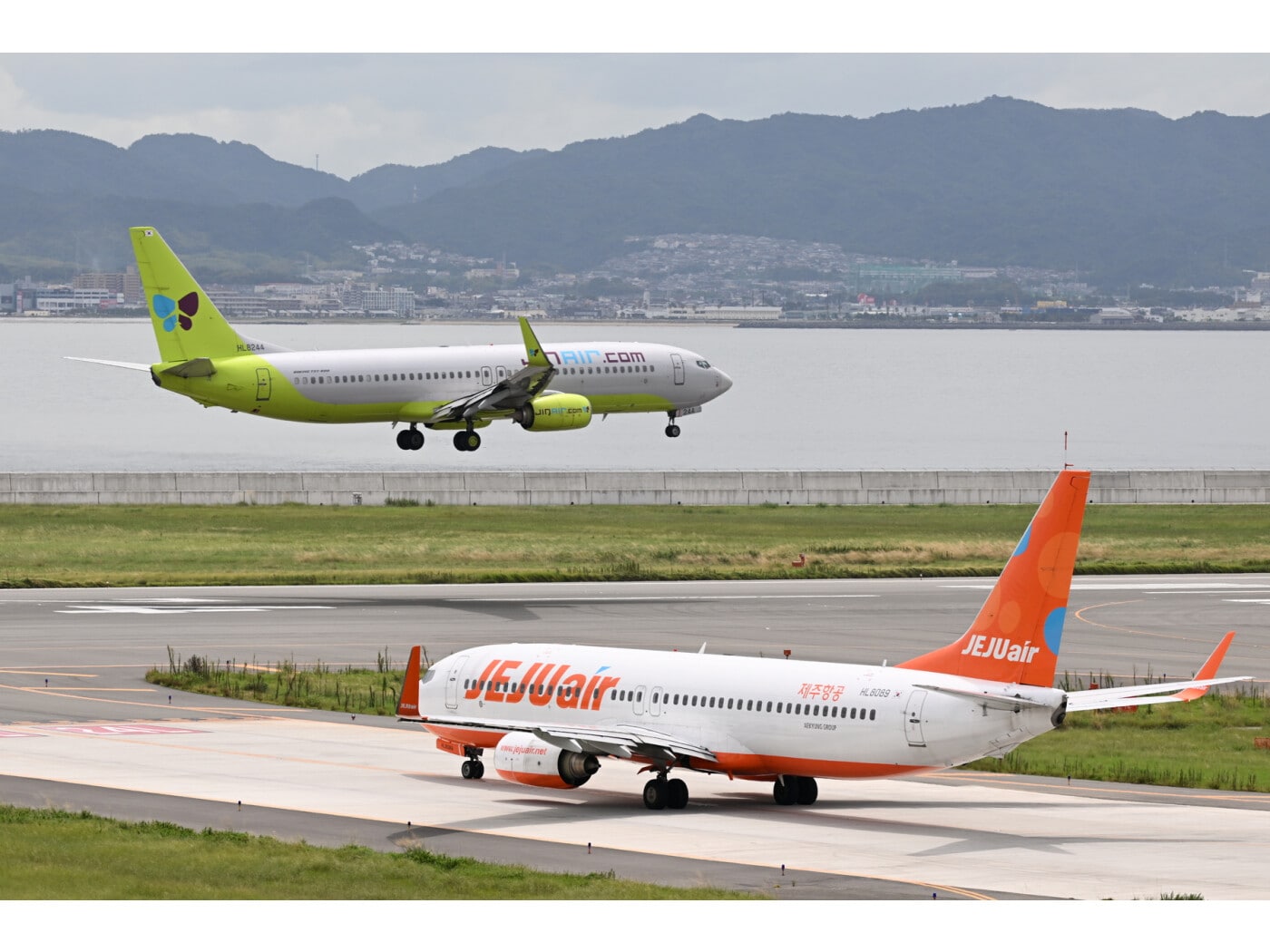 韓国行き「LCC」10社を比較！セール情報、賢い利用方法も【2024年版