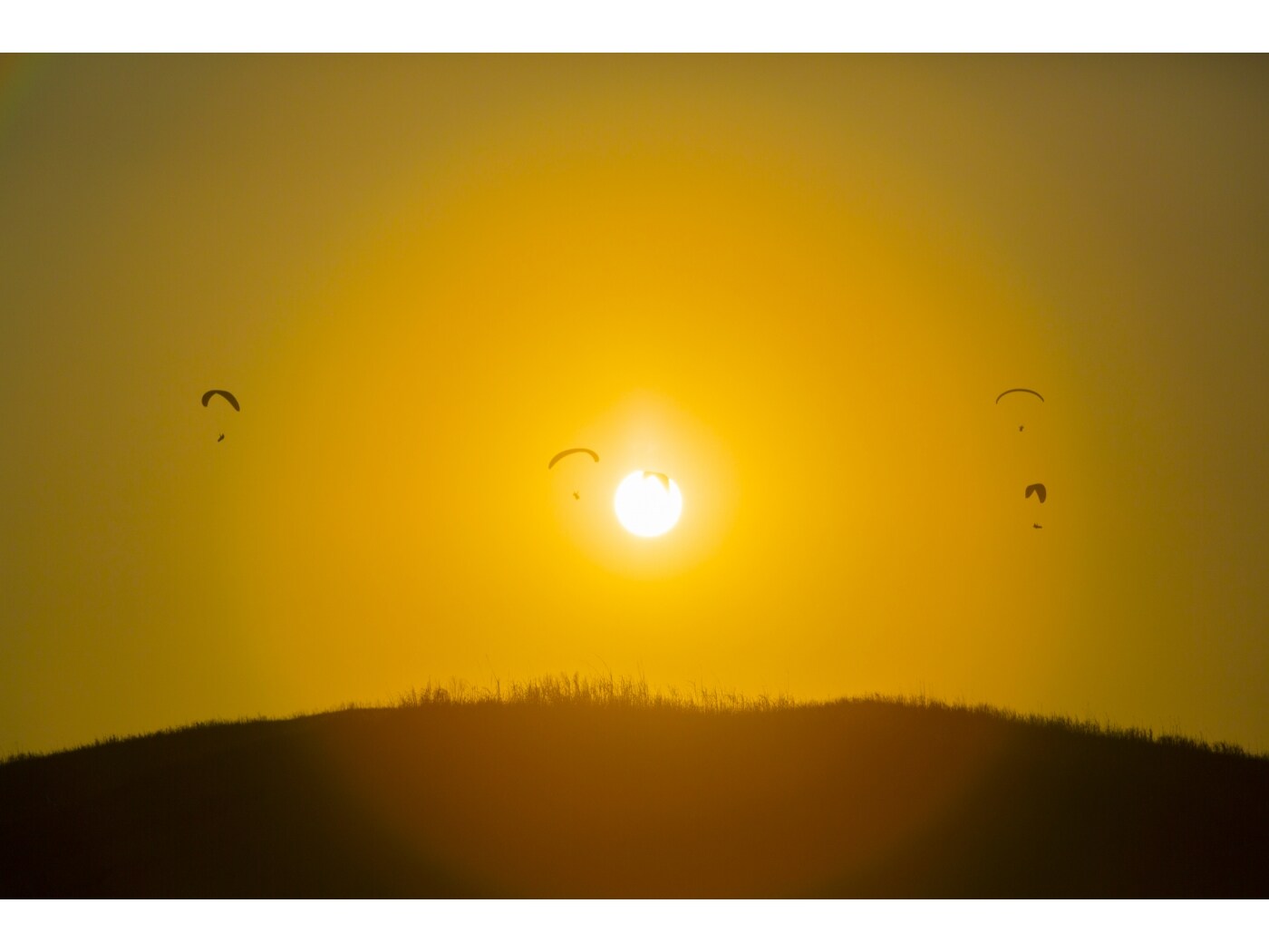 仮想通貨業界で話題となっているユニコーン企業とは？ [ビットコイン] All About