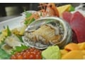 北海道の絶品エゾアワビを堪能！ガイド厳選3スポット
