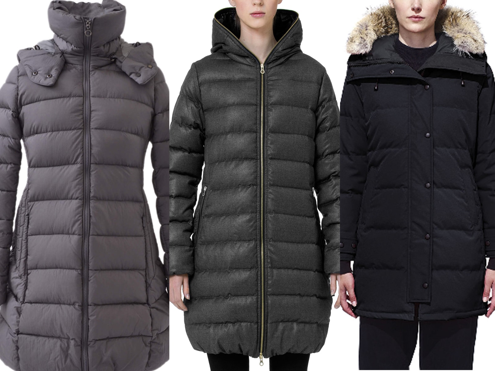 ピューテリーダウン　タトラス　ヂュベチカ　ガナダグースなど好きな方に ピューテリーダウン タトラス ヂュベチカ ガナダグースなど好き