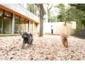 愛犬家のためのリゾートホテル「レジーナ旧軽井沢」