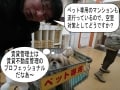 賃貸不動産経営管理士2018年度 合格点と難易度をズバリ解説！