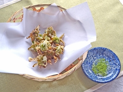 ふきのとうの天ぷらレシピ……シンプルを極める！