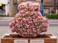桜新町周辺で御朱印をもらい、桜鑑賞もしつつ豪徳寺へ