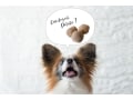 犬にフライドポテトはNG！じゃがいもを与えるときの注意点