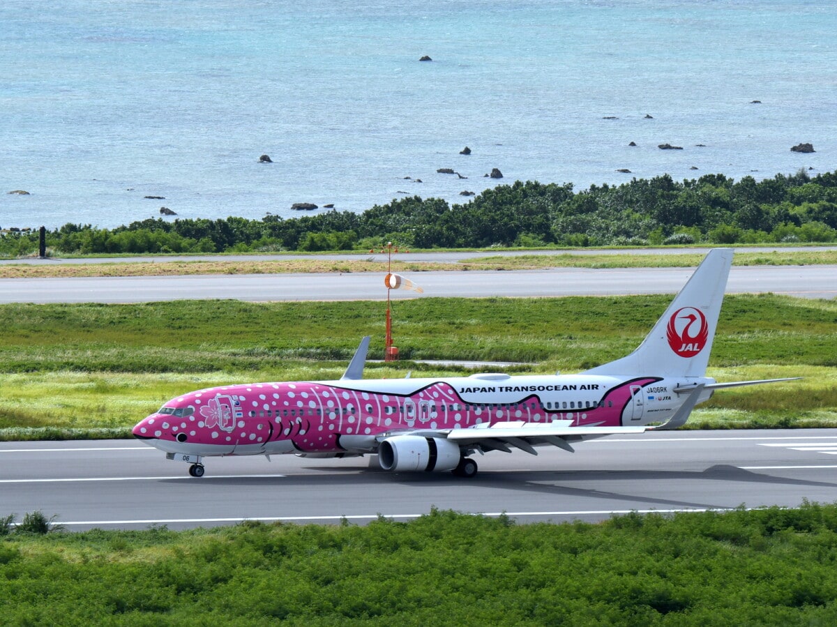 ANAやJALも！デザインがかわいい「特別塗装機」11選 [航空券] All About