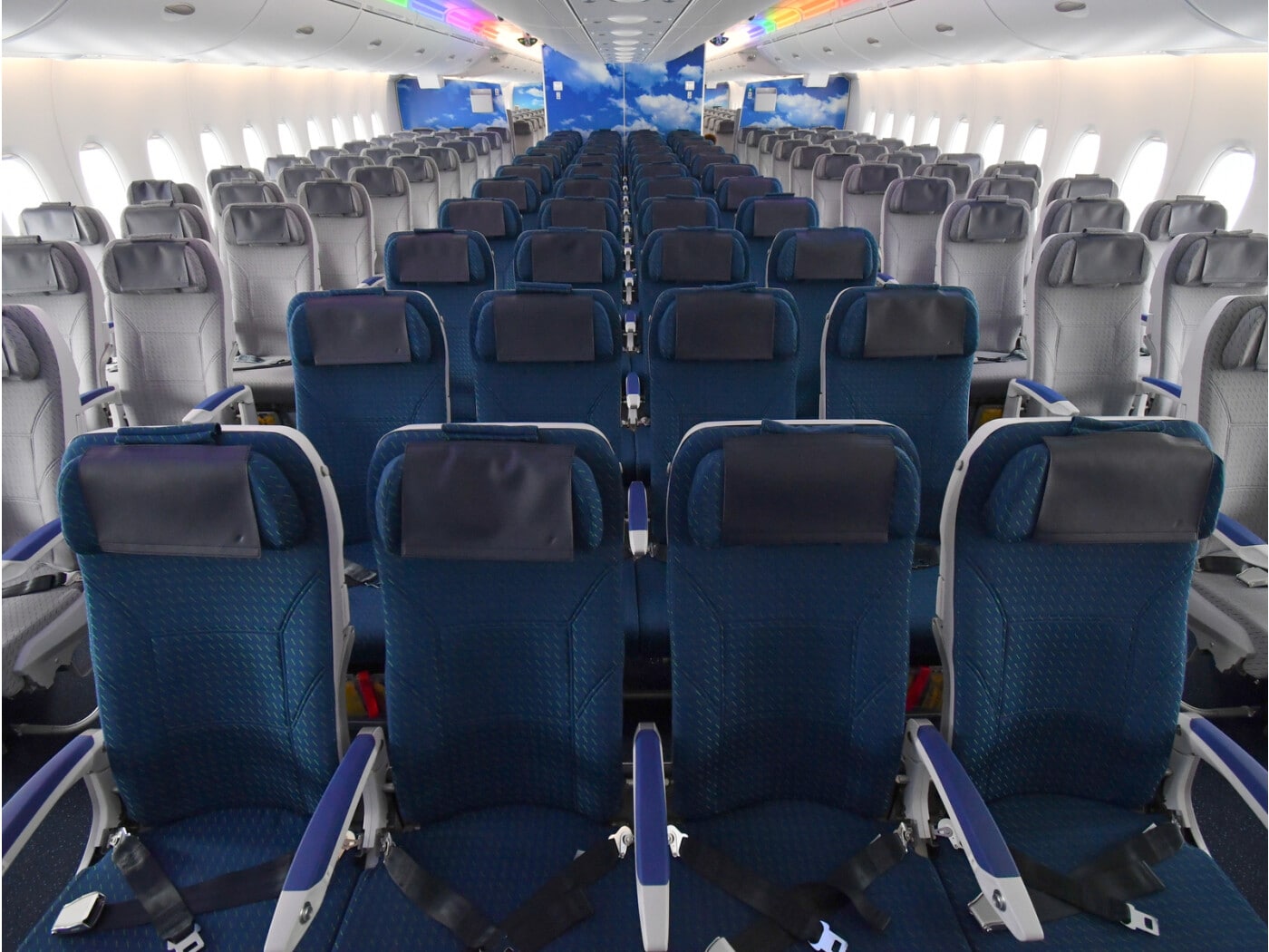 セール 登場から人気沸騰 飛行機の座席、どこに座ると快適？「機種別」おすすめ座席位置を 人文