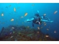 スキューバダイビングの基本「中性浮力」とは？