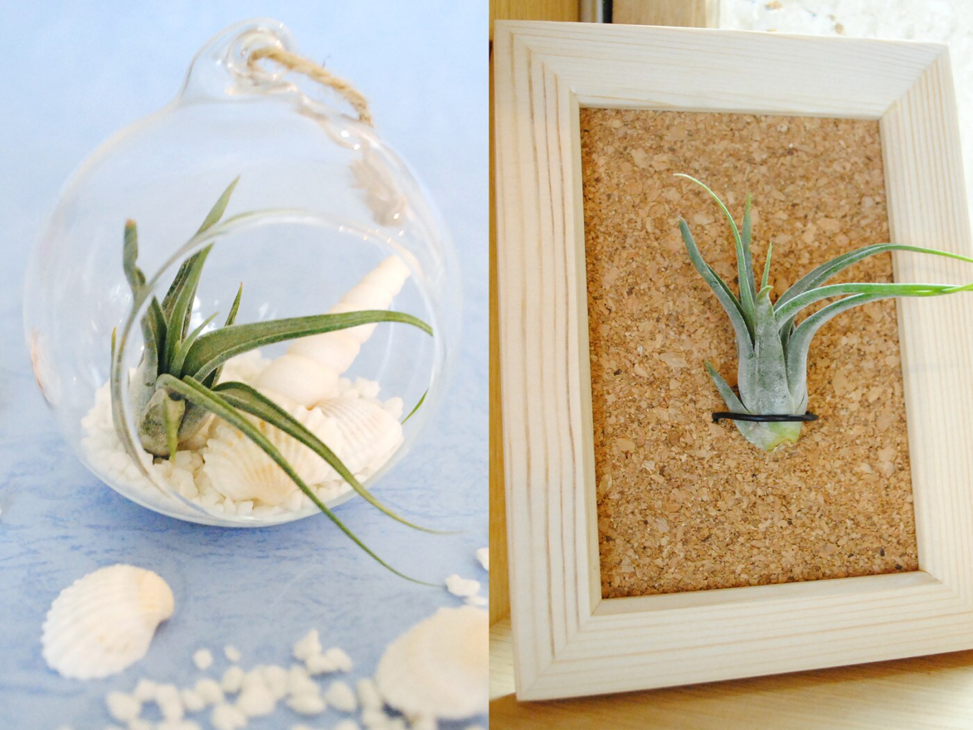 リチャードジノリ最新ライフスタイルからベスト5 [インテリア