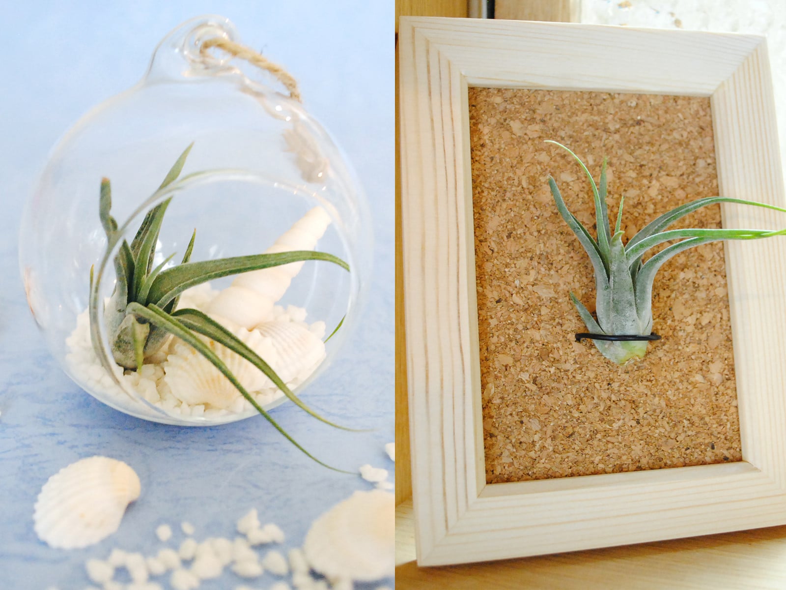 リチャードジノリ最新ライフスタイルからベスト5 [インテリア