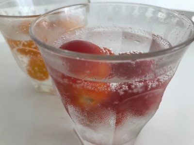 凍らせたプチトマトに、お好みのハイボールを注いで