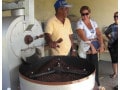 ブラジルコーヒーの特徴！品種・飲み方や歴史
