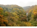 日光の紅葉2018！おすすめ名所や見頃時期・渋滞情報