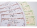扶養の妻・子どもが株の配当金をもらっている時の注意