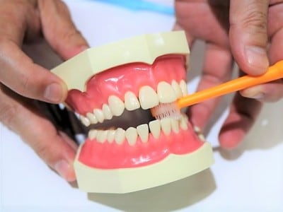 歯周病予防にもお勧めしたいタンポポの種歯ブラシ。