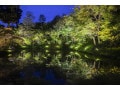 ねねの寺・高台寺の観光！ライトアップや御朱印情報