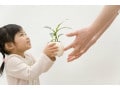 幼保無償化を貯蓄チャンスに変えよう！
