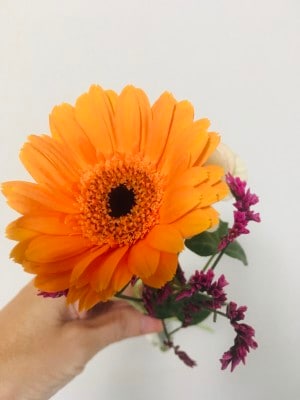 わが家に届いたばかりの花。元気です！