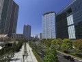 地価が上昇したら、相続対策は見直した方が良いの？