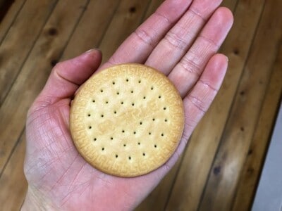 サイズ感