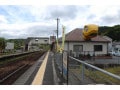 駅なのに降りられない、人より動物が多い!?  全国で見つけた「変な駅」10選