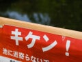 親が「ちょっと目を離したすき」に起こる川遊びの危険、子どもの「水の事故」を防ぐには？