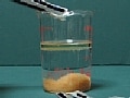 ついに厚生労働省が通知！　「脂肪を包み排出」は効果無し！