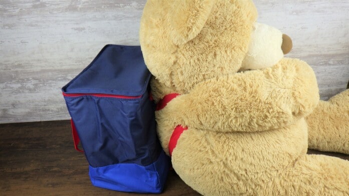 コストコの保冷バッグやエコバッグは種類いろいろ