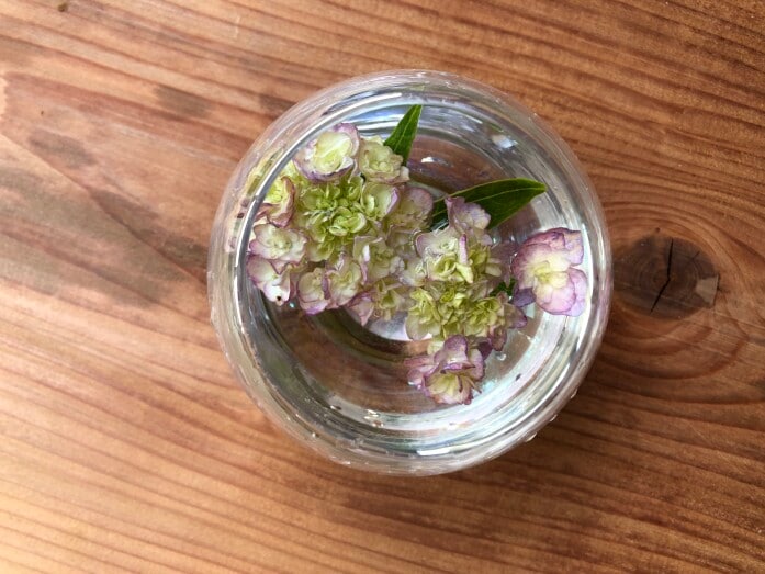 キャンドゥの花瓶「グラスベース（オーロラスフィア）M」に花を浮かせるイメージ