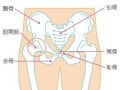 産後だけじゃないの!?「骨盤ベルト」を巻いて誰でも簡単ダイエット