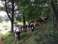 神戸にこんな田舎が!? 移住先としても注目の里山で観光の穴場スポットを巡ってきた