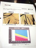 測定中