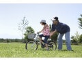 手続き記憶とは……自転車の乗り方や楽器の演奏法を忘れないワケ