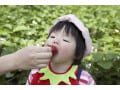 イチゴは洗う？ヘタを取ると栄養が減る？栄養士おすすめの食べ方