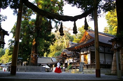 神社とは