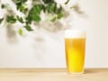 ビールに使う金額が高い街ランキング！1位は……？