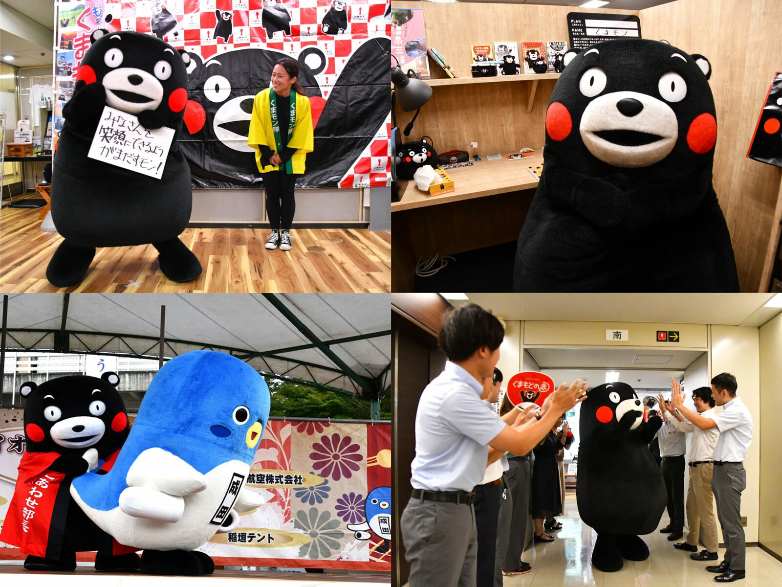 ノラのぬいぐるみぬいぐるみです——Maverick様 ゆがめる