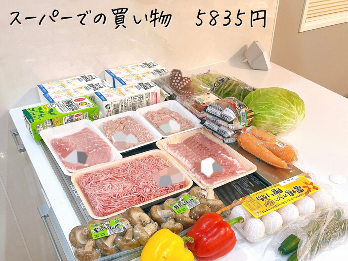 節約家さん専用 J1047 節約家さんの家計簿 A5 ダイゴー 1冊 J1047 - 【通販モノタロウ】