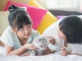 Q. 猫アレルギーが治る可能性はありますか？