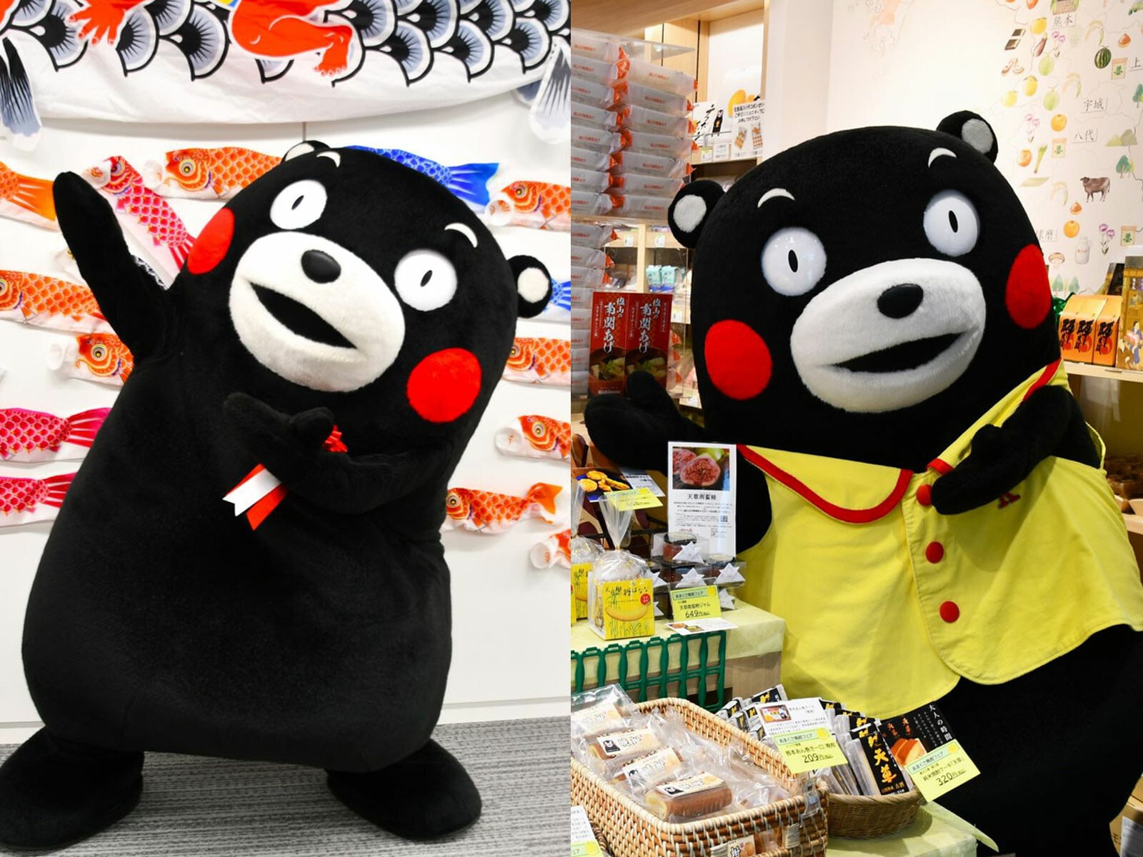 新しいコレクション こいのぼり！まねきくま！アース製薬のみなさんにも「かわいい か行