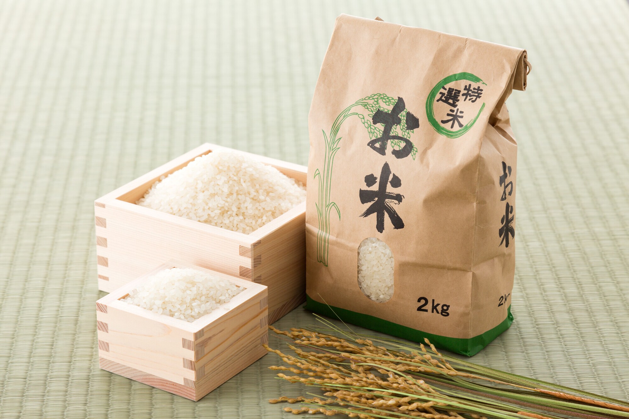 昔はワラント・・・ 新株予約権って何？ [株・株式投資] All About