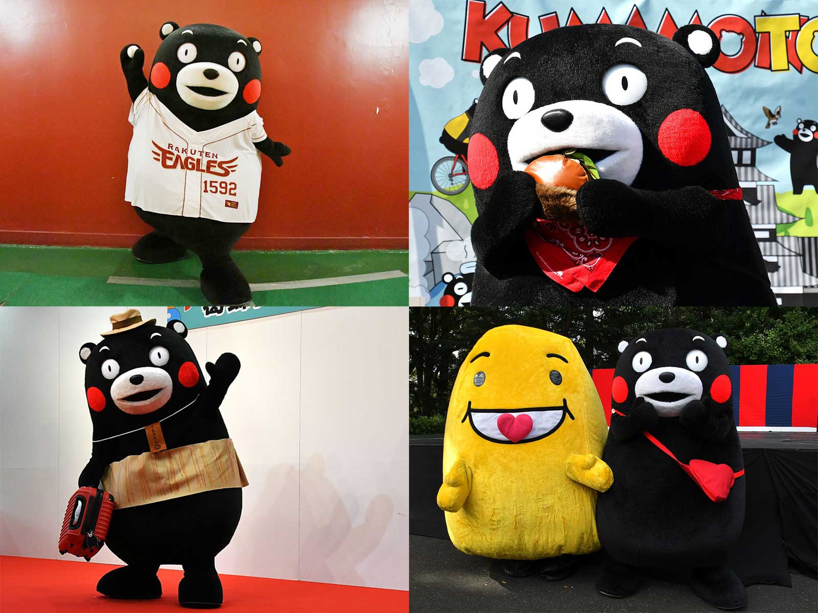 くまモンがクルマエビを形態模写したら？キャラさんとの触れ合いも